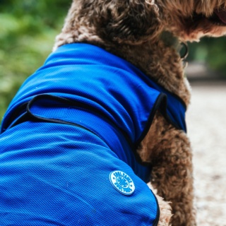 Ancol Pet Cooling Vest, Dog Cooling Coat Blue 6 Sizes